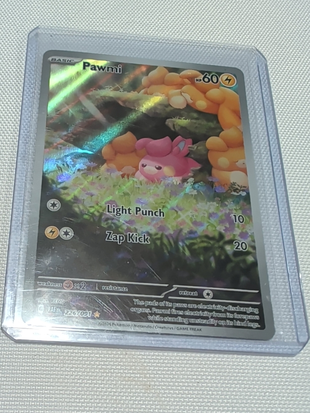 Pokémon Trading Card Pawmi